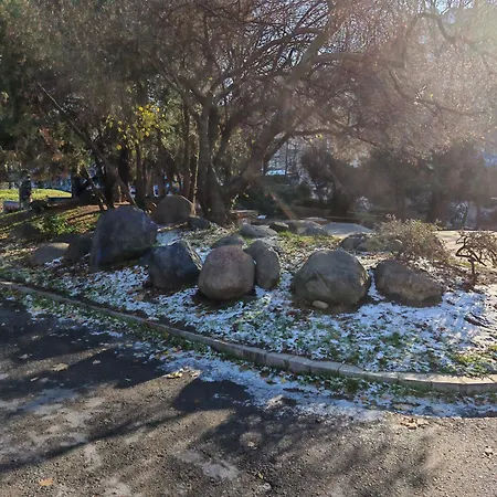 88 Appartamento Sofia